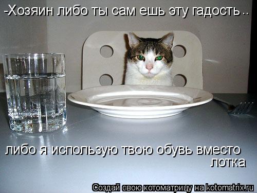 -Хозяин либо ты сам ешь эту гадость .. либо я использую твою обувь вместо лотка... Котоматрица: -Хозяин либо ты сам ешь эту гадость .. либо я использую твою обувь вместо лотка