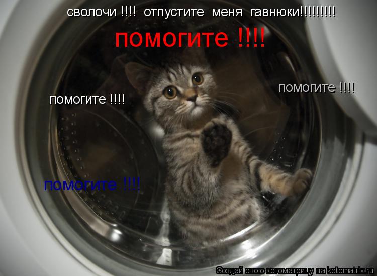 сволочи !!!! отпустите меня гавнюки!!!!!!!!! помогите !!!! помогите !!!! помогите !!!! помогите !!... Котоматрица: сволочи !!!! отпустите меня гавнюки!!!!!!!!! помогите !!!! помогите !!!! помогите !!!! помогите !!!!