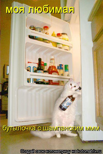 моя любимая бутылочка с шампанским ммм... Котоматрица: моя любимая бутылочка с шампанским ммм