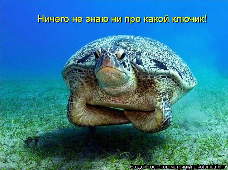 Ничего не знаю ни про какой ключик!... Котоматрица: Ничего не знаю ни про какой ключик!