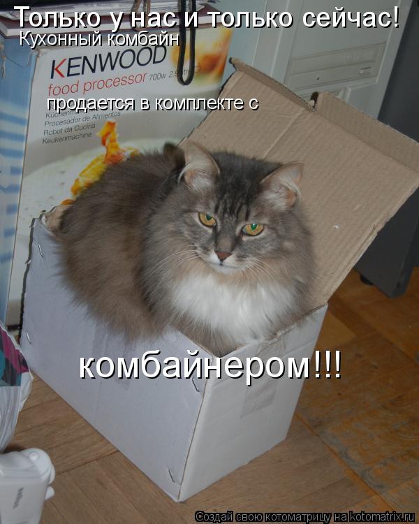 Только у нас и только сейчас! Кухонный комбайн продается в комплекте с комбайнером!!!... Котоматрица: Только у нас и только сейчас! Кухонный комбайн продается в комплекте с комбайнером!!!