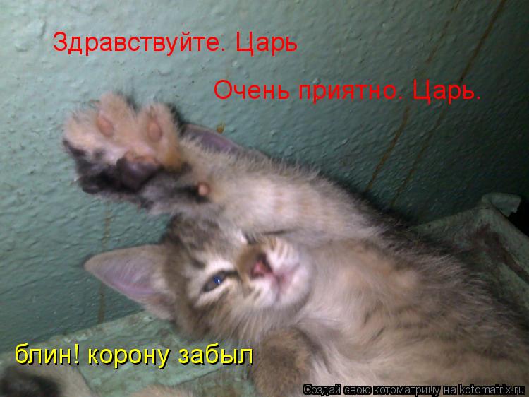 Здравствуйте. Царь Очень приятно. Царь. блин! корону забыл... Котоматрица: Здравствуйте. Царь Очень приятно. Царь. блин! корону забыл