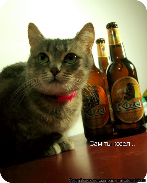 Сам ты козёл...... Котоматрица: Сам ты козёл...