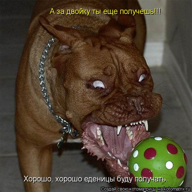 А за двойку ты еще получешь!!! Хорошо, хорошо еденицы буду получать.... Котоматрица: А за двойку ты еще получешь!!! Хорошо, хорошо еденицы буду получать.