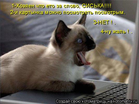 1-Хозяен что ето за слово, СИСЬКА!!!! 2-и картынка можно посмотреть посмотрым. 3-НЕТ ! . 4-ну жаль ! ... Котоматрица: 1-Хозяен что ето за слово, СИСЬКА!!!! 2-и картынка можно посмотреть посмотрым. 3-НЕТ ! . 4-ну жаль ! .
