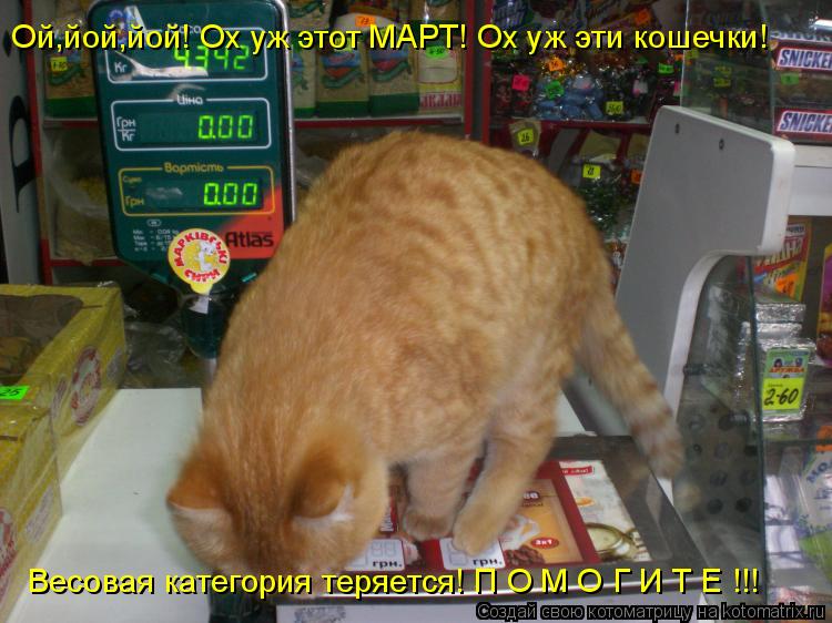 Ой,йой,йой! Ох уж этот МАРТ! Ох уж эти кошечки! Весовая категория теряется! П О М О Г И Т Е !!!... Котоматрица: Ой,йой,йой! Ох уж этот МАРТ! Ох уж эти кошечки! Весовая категория теряется! П О М О Г И Т Е !!!
