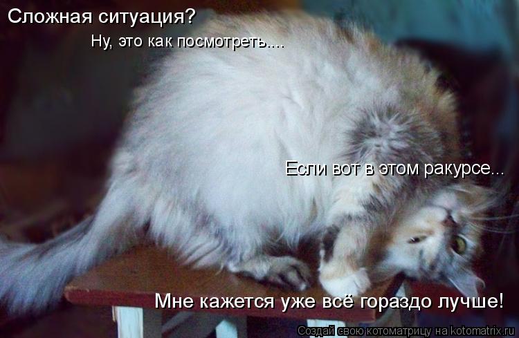 Если вот в этом ракурсе... Сложная ситуация? Ну, это как посмотреть.... Мне кажется уже всё гораздо л... Котоматрица: Если вот в этом ракурсе... Сложная ситуация? Ну, это как посмотреть.... Мне кажется уже всё гораздо лучше!