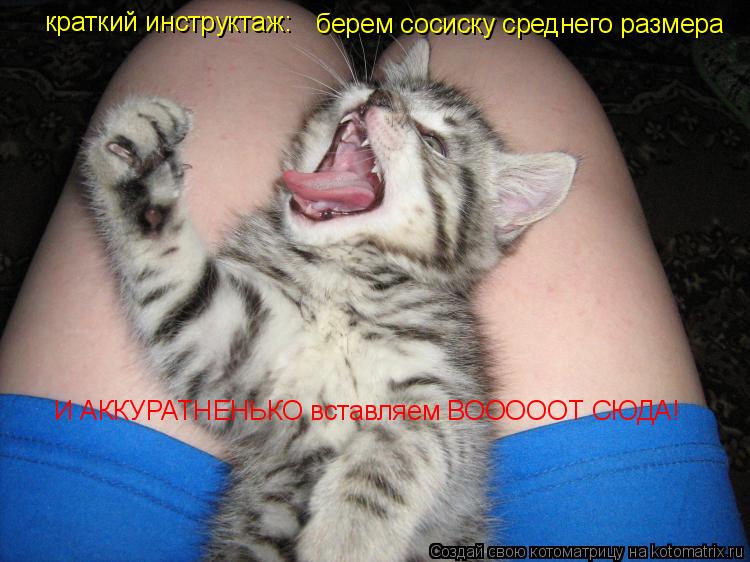 краткий инструктаж: берем сосиску среднего размера И АККУРАТНЕНЬКО вставляем ВОООООТ СЮДА!... Котоматрица: краткий инструктаж: берем сосиску среднего размера И АККУРАТНЕНЬКО вставляем ВОООООТ СЮДА!