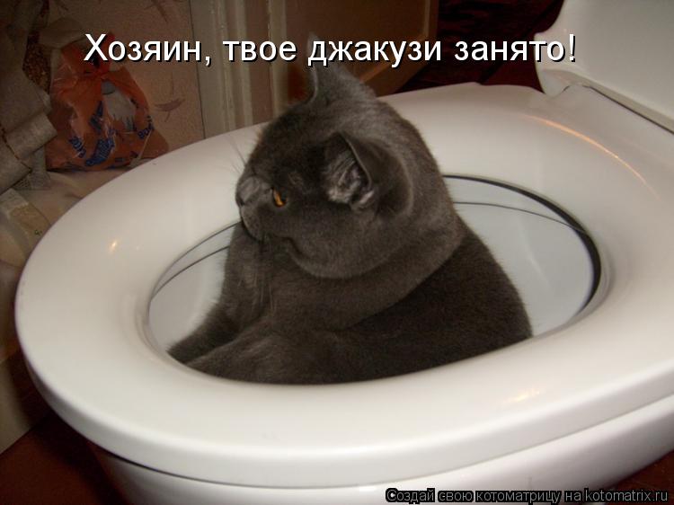 Хозяин, твое джакузи занято!... Котоматрица: Хозяин, твое джакузи занято!