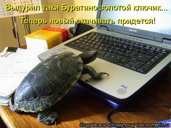 Котоматрица: Выдурил таки Буратино золотой ключик... Теперь новый скачивать придется!
