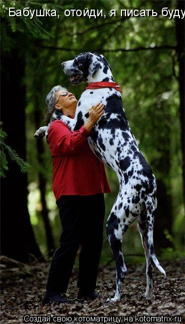 Бабушка, отойди, я писать буду!... Котоматрица: Бабушка, отойди, я писать буду!