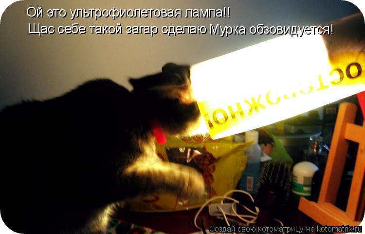 Ой это ультрофиолетовая лампа!! Щас себе такой загар сделаю Мурка обзовидуется!... Котоматрица: Ой это ультрофиолетовая лампа!! Щас себе такой загар сделаю Мурка обзовидуется!