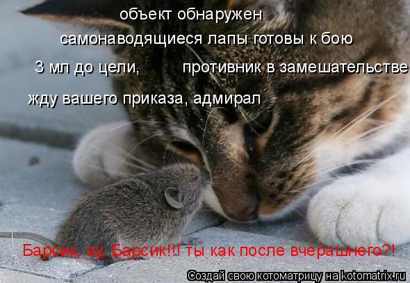 самонаводящиеся лапы готовы к бою объект обнаружен 3 мл до цели, противник в замешательстве Б... Котоматрица: самонаводящиеся лапы готовы к бою объект обнаружен 3 мл до цели, противник в замешательстве Барсик, ау, Барсик!!! ты как после вчерашнего