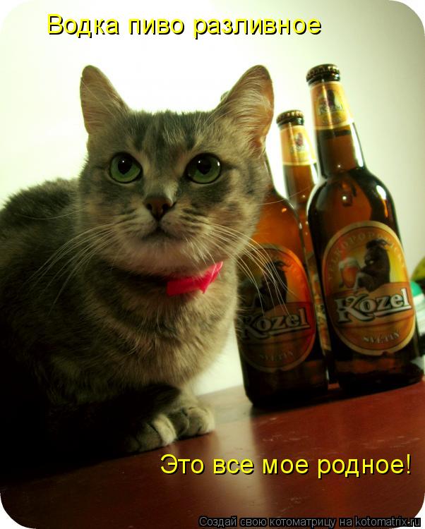 Водка пиво разливное Это все мое родное!... Котоматрица: Водка пиво разливное Это все мое родное!