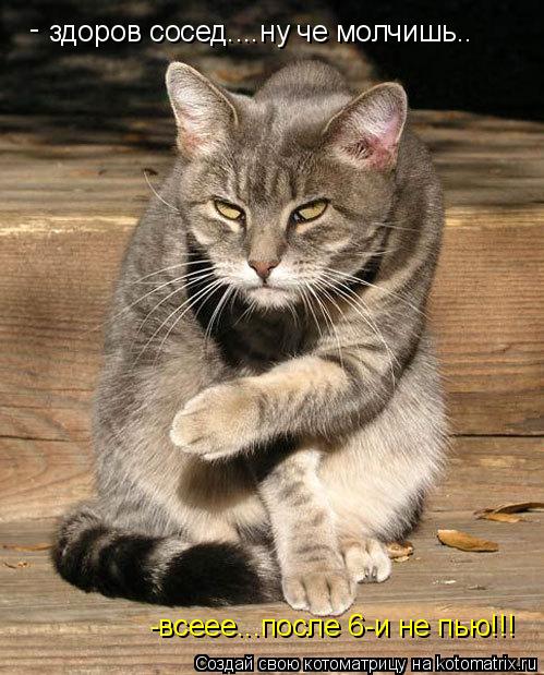 здоров сосед....ну че молчишь.. -всеее...после 6-и не пью!!! -... Котоматрица: здоров сосед....ну че молчишь.. -всеее...после 6-и не пью!!! -