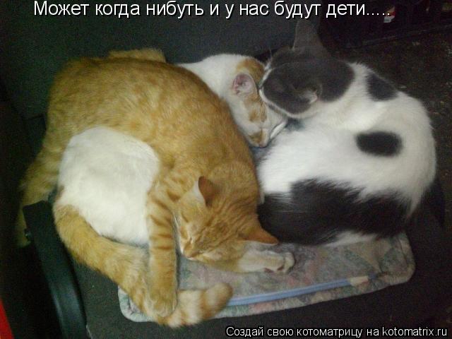 Котоматрица: Может когда нибуть и у нас будут дети.....