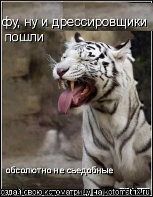 Котоматрица: фу, ну и дрессировщики  пошли обсолютно не сьедобные