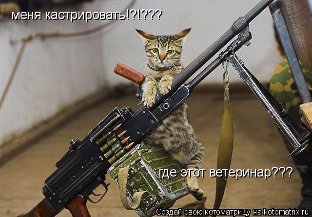 Котоматрица: меня кастрировать!?!??? где этот ветеринар???