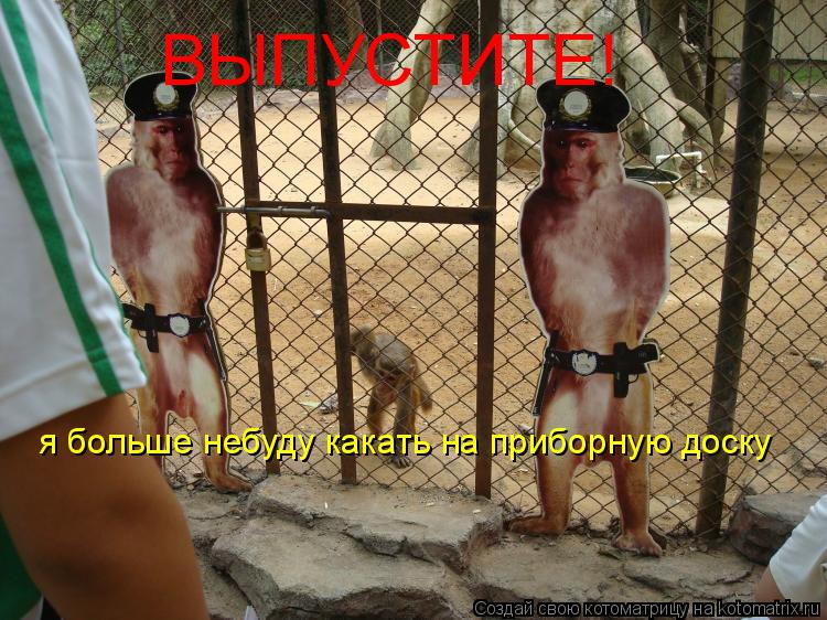 Котоматрица: ВЫПУСТИТЕ!  я больше небуду какать на приборную доску