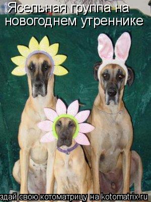 Котоматрица: Ясельная группа на  новогоднем утреннике