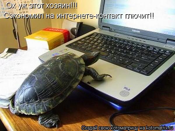 Котоматрица: Ох уж этот хозяин!!! Сэкономил на интернете-контакт глючит!!
