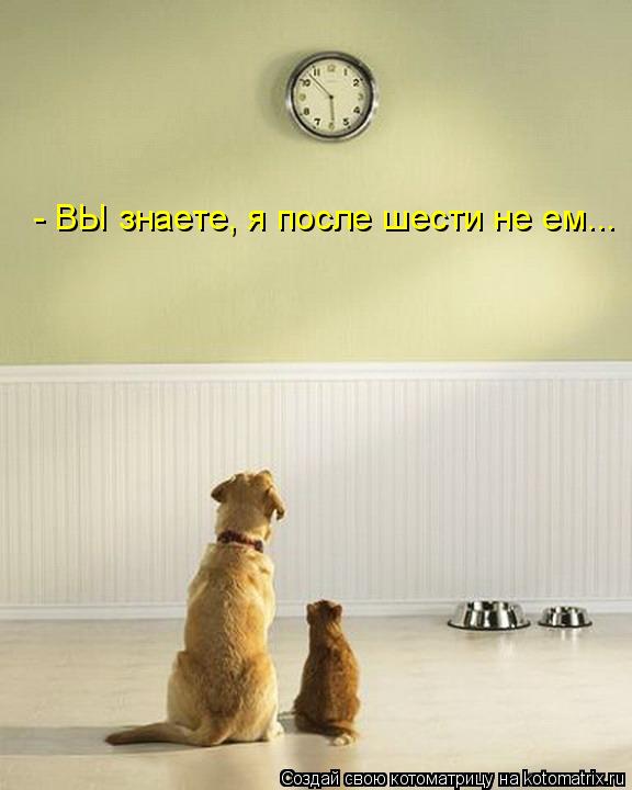 Котоматрица: - ВЫ знаете, я после шести не ем...