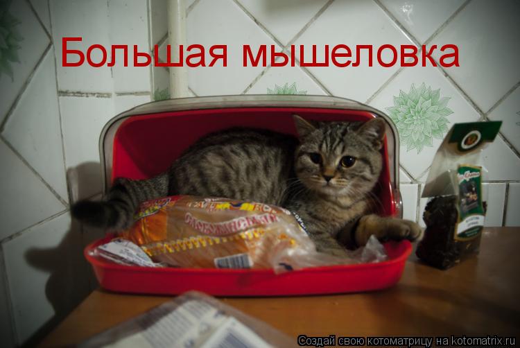 Котоматрица: Большая мышеловка