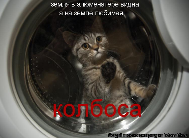 Котоматрица: земля в элюменатере видна а на земле любимая колбоса