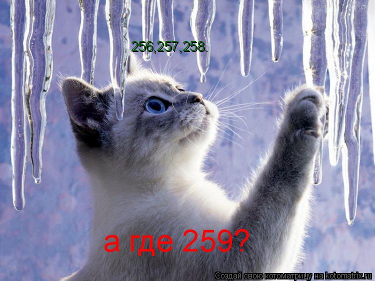 Котоматрица: 256,257,258. а где 259?