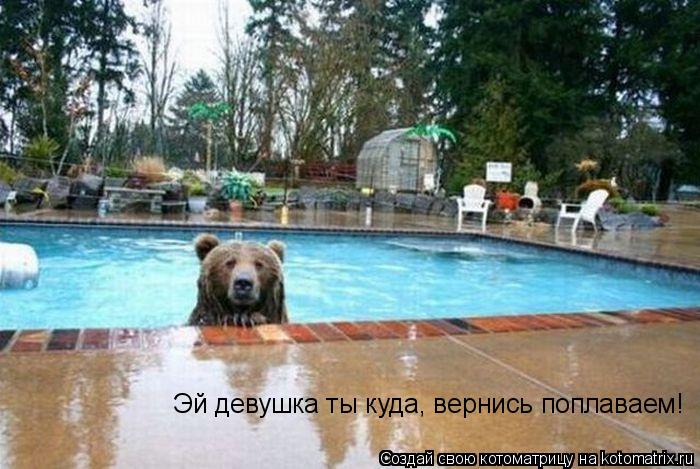 Котоматрица: Эй девушка ты куда, вернись поплаваем!