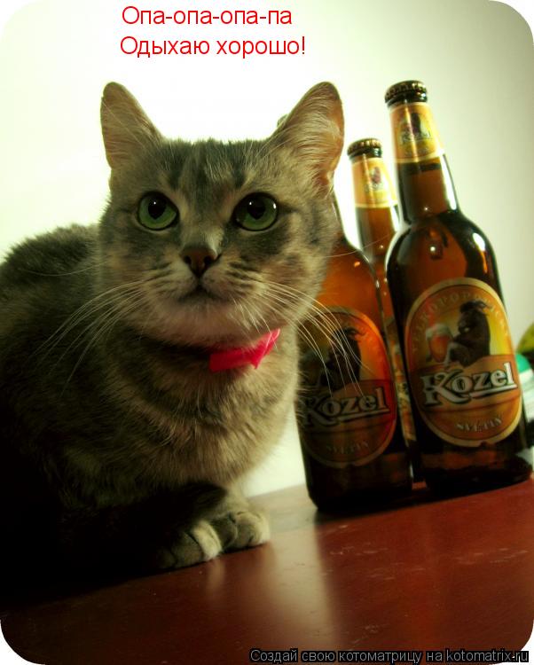 Котоматрица: Опа-опа-опа-па Одыхаю хорошо!