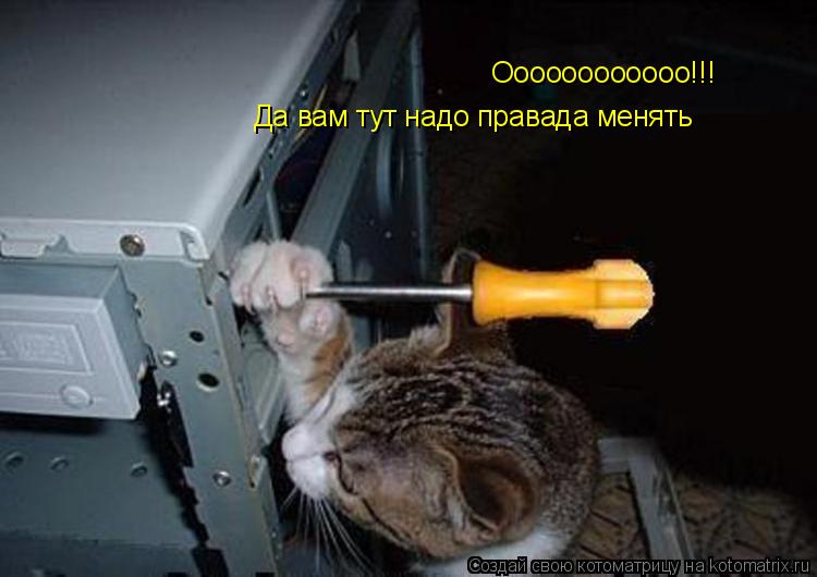 Котоматрица: Оооооооооооо!!! Да вам тут надо правада менять