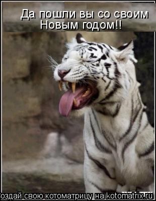 Котоматрица: Да пошли вы со своим Новым годом!!