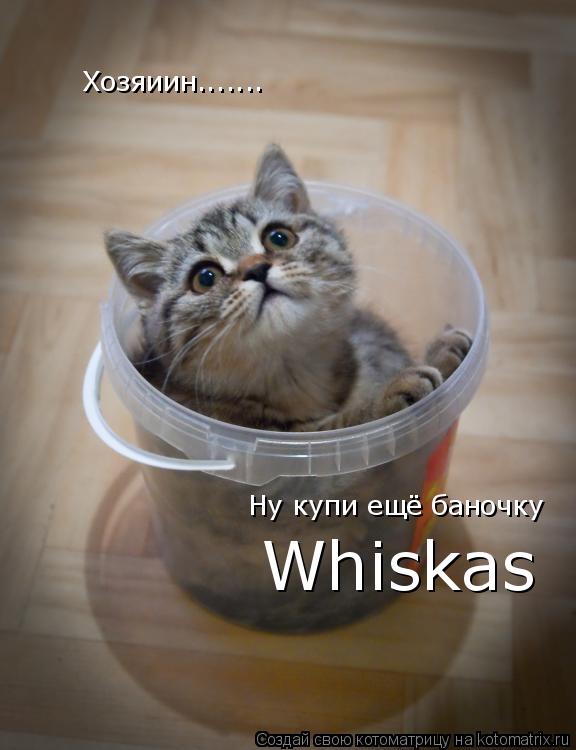 Котоматрица: Хозяиин....... Ну купи ещё баночку  Whiskas