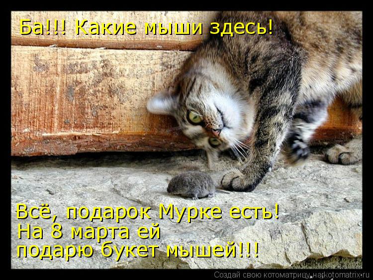 Всё, подарок Мурке есть! На 8 марта ей подарю букет мышей!!! Ба!!! Какие мыши здесь!... Котоматрица: Всё, подарок Мурке есть! На 8 марта ей подарю букет мышей!!! Ба!!! Какие мыши здесь!