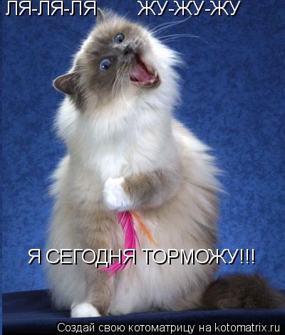 ЛЯ-ЛЯ-ЛЯ ЖУ-ЖУ-ЖУ Я СЕГОДНЯ ТОРМОЖУ!!!... Котоматрица: ЛЯ-ЛЯ-ЛЯ ЖУ-ЖУ-ЖУ Я СЕГОДНЯ ТОРМОЖУ!!!