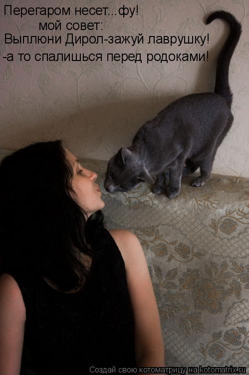 Перегаром несет...фу! мой совет: Выплюни Дирол-зажуй лаврушку! -а то спалишься перед родоками!... Котоматрица: Перегаром несет...фу! мой совет: Выплюни Дирол-зажуй лаврушку! -а то спалишься перед родоками!