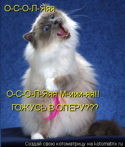 О-С-О-Л-Яяя О-С-О-Л-Яяя М-иии-яя!! ГОЖУСЬ В ОПЕРУ???... Котоматрица: О-С-О-Л-Яяя О-С-О-Л-Яяя М-иии-яя!! ГОЖУСЬ В ОПЕРУ???