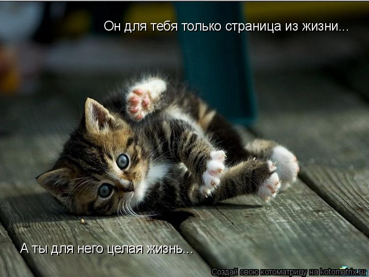 Он для тебя только страница из жизни... А ты для него целая жизнь...... Котоматрица: Он для тебя только страница из жизни... А ты для него целая жизнь...