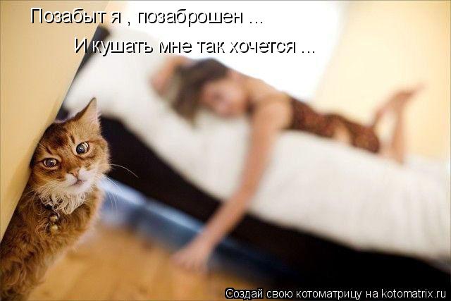 Позабыт я , позаброшен ... И кушать мне так хочется ...... Котоматрица: Позабыт я , позаброшен ... И кушать мне так хочется ...