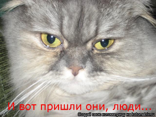 И вот пришли они, люди...... Котоматрица: И вот пришли они, люди...