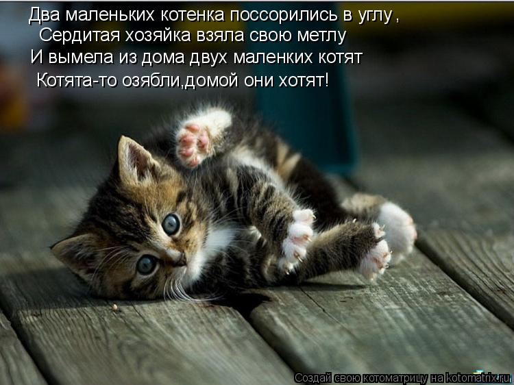 Котоматрица: Два маленьких котенка поссорились в углу , Сердитая хозяйка взяла свою метлу И вымела из дома двух маленких котят Котята-то озябли,домой он