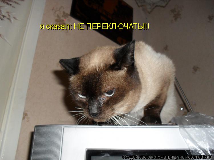 я сказал: НЕ ПЕРЕКЛЮЧАТЬ!!!... Котоматрица: я сказал: НЕ ПЕРЕКЛЮЧАТЬ!!!