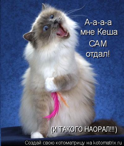 А-а-а-а мне Кеша САМ отдал! (И ТАКОГО НАОРАЛ!!!)... Котоматрица: А-а-а-а мне Кеша САМ отдал! (И ТАКОГО НАОРАЛ!!!)