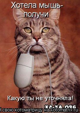 Хотела мышь- Хотела мышь- получи Какую ты не уточняла!... Котоматрица: Хотела мышь- Хотела мышь- получи Какую ты не уточняла!