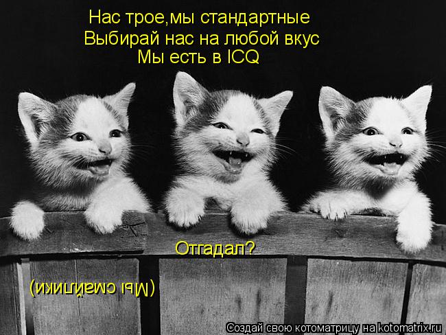 Нас трое,мы стандартные Выбирай нас на любой вкус Мы есть в ICQ Отгадал? (Мы смайлики)... Котоматрица: Нас трое,мы стандартные Выбирай нас на любой вкус Мы есть в ICQ Отгадал? (Мы смайлики)
