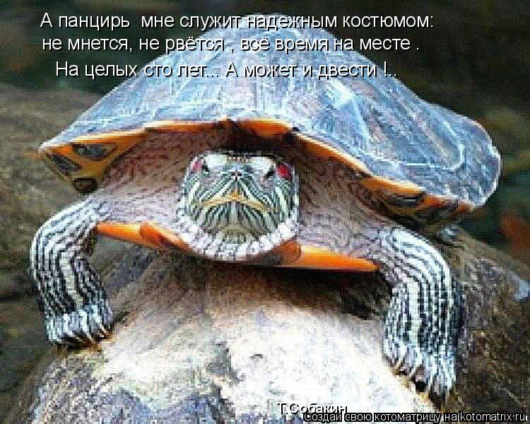 А панцирь мне служит надежным костюмом: не мнется, не рвётся , всё время на месте – На целых сто лет... Котоматрица: А панцирь мне служит надежным костюмом: не мнется, не рвётся , всё время на месте – На целых сто лет... А может и двести !.. Т.Собакин
