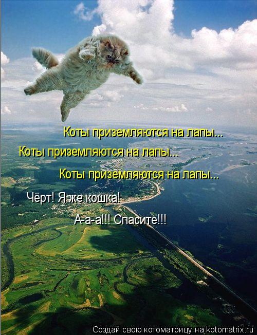 Коты приземляются на лапы... Коты приземляются на лапы... Коты приземляются на лапы... Чёрт! Я же кош... Котоматрица: Коты приземляются на лапы... Коты приземляются на лапы... Коты приземляются на лапы... Чёрт! Я же кошка! А-а-а!!! Спасите!!!