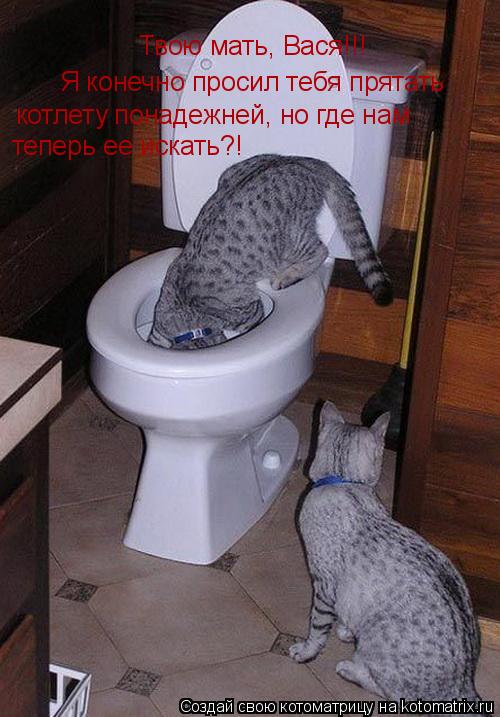 Твою мать, Вася!!! Я конечно просил тебя прятать котлету понадежней, но где нам теперь ее искать?!... Котоматрица: Твою мать, Вася!!! Я конечно просил тебя прятать котлету понадежней, но где нам теперь ее искать?! о