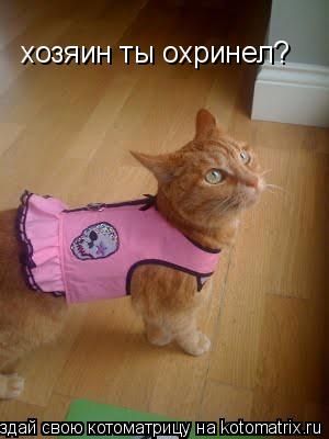 хозяин ты охринел?... Котоматрица: хозяин ты охринел?